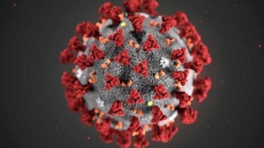 images Coronavirus, il bollettino: 2.204 nuovi casi e 5 morti (ELENCO PER PROVINCE)