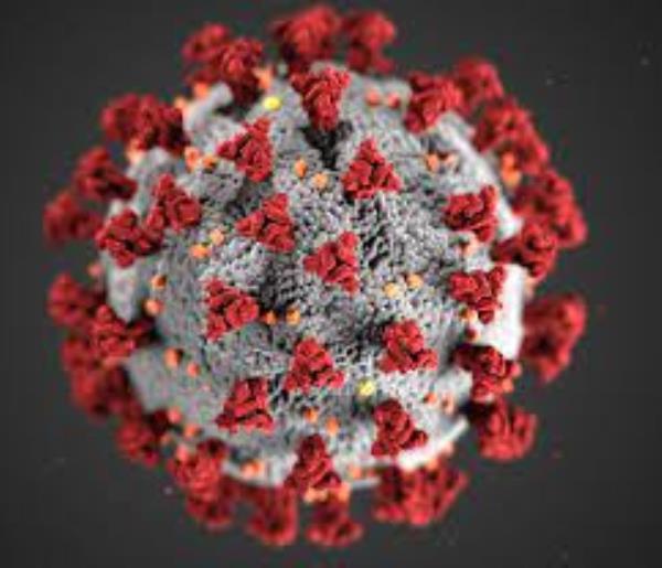 images Coronavirus, il bollettino: 559 positivi e un morto 