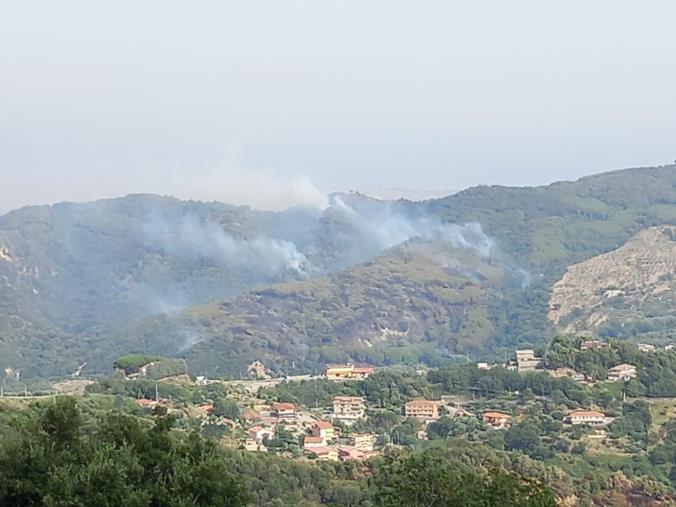 images Emergenza incendi a Catanzaro. Riccardo Elia: “ C’era una volta il “Bosco Li Comuni”… Sindaco, se ci sei, batti un colpo!”