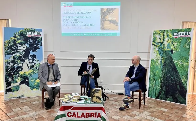 images "Alberi monumentali in Calabria" il libro di Francesco Bevilacqua, presentato in un evento della Fai Cisl Calabria