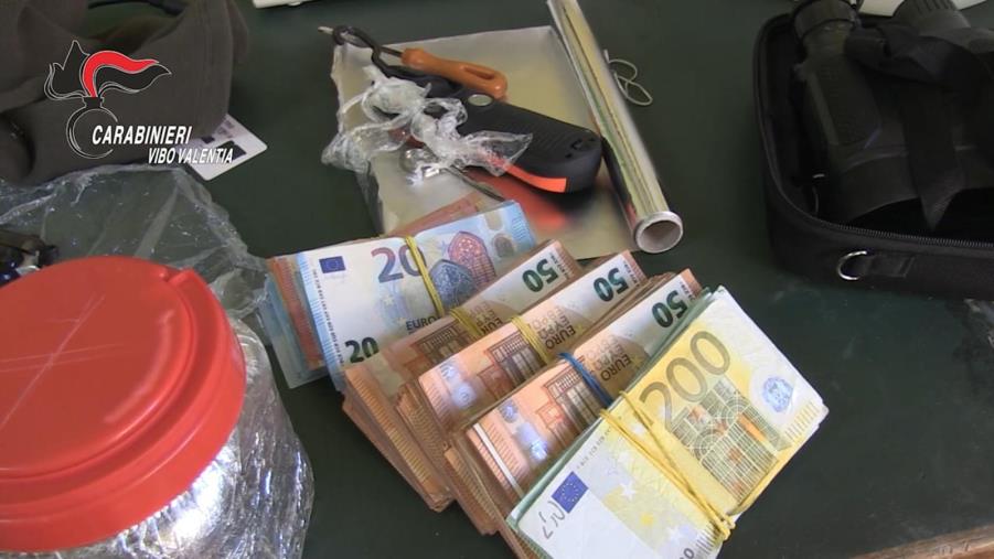 Marijuana e cocaina per 300 mila euro, 4 arresti a Vibo Valentia (VIDEO)