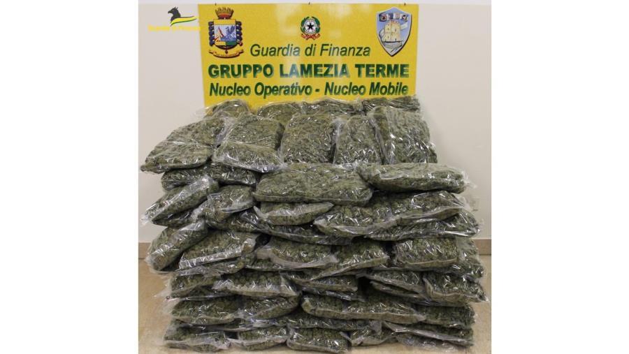 images Catanzaro, finanziere si finge corriere per consegnare droga: arrestato presunto spacciatore e sequestrati 55 chili di marijuana