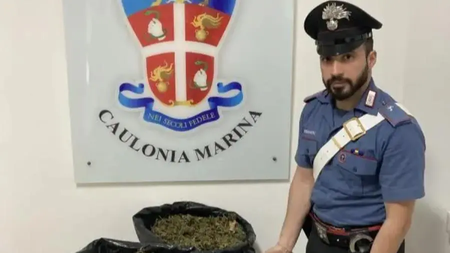 images Caulonia, sorpresi con 23 chili di marijuana: arrestati quattro uomini