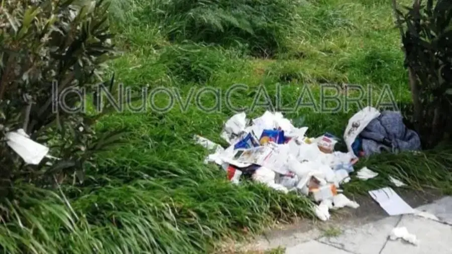 images Catanzaro, inciviltà dilagante: le aiuole in centro diventano una pattumiera