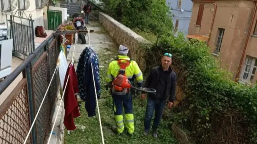 images Catanzaro, dopo varie segnalazioni a vuoto un gruppo di cittadini ripulisce via Masciari 