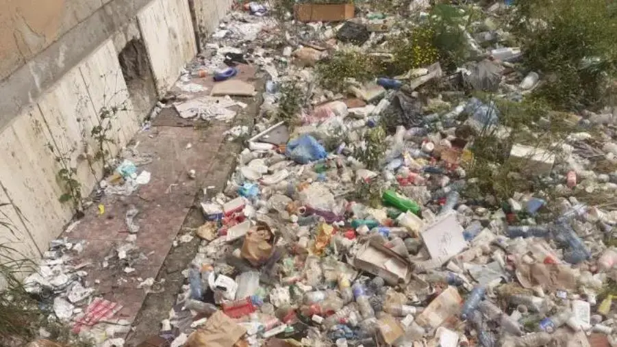 Degrado in Viale Isonzo 3, Sergio Costanzo: "Aspettiamo risposte dal settore Igiene e Ambiente"