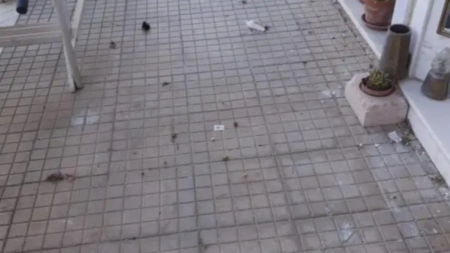 Condizioni Cimitero di via Paglia, lo sfogo di una cittadina: "Toccato il fondo"