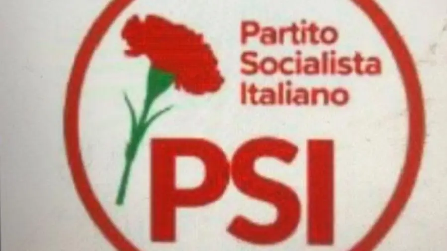 images Comunali Lamezia, il Partito Socialista Italiano lancia le linee guida 