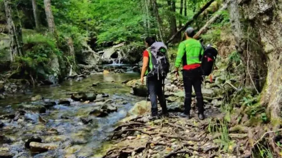 images Parco della Sila, proseguono le ricerche dell'anziano scomparso da tre giorni 