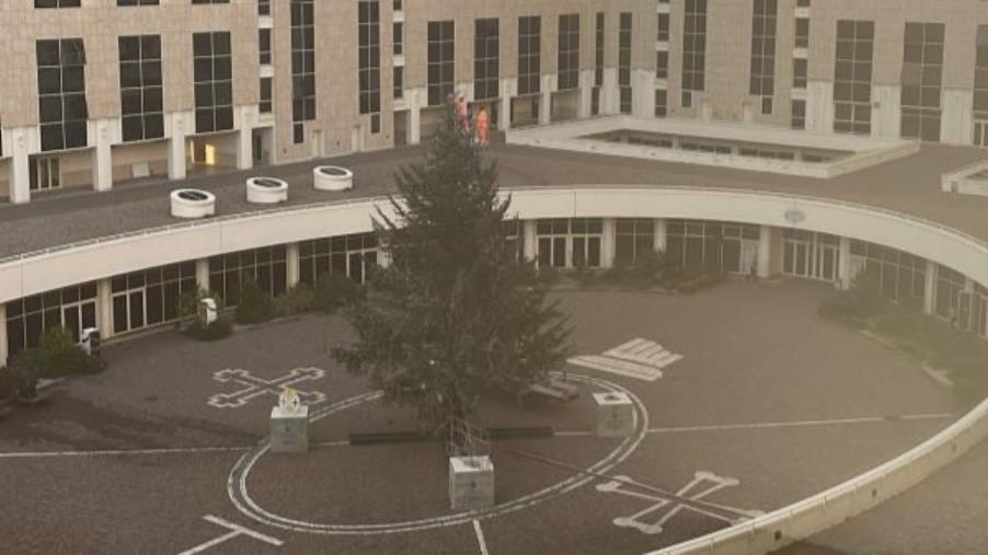 images Lunedì 19 dicembre sarà acceso a festa in Cittadella l’albero di Natale dei calabresi