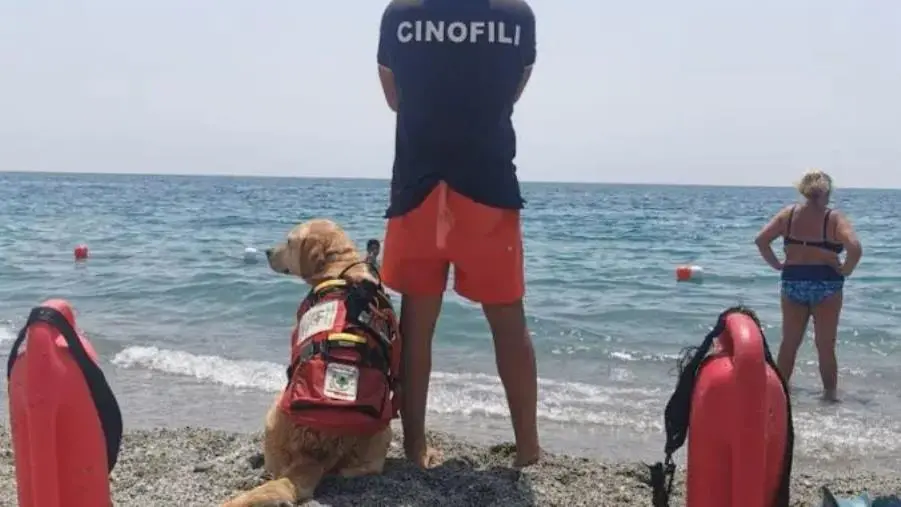 Catanzaro, il grazie di Veraldi alla Cinofila della Croce Verde per i salvataggi in mare
