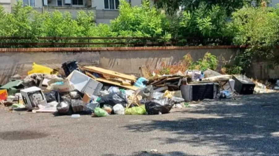 images Catanzaro: da settimane segnalata una discarica abusiva all'Aranceto, ma il Comune non fa nulla 