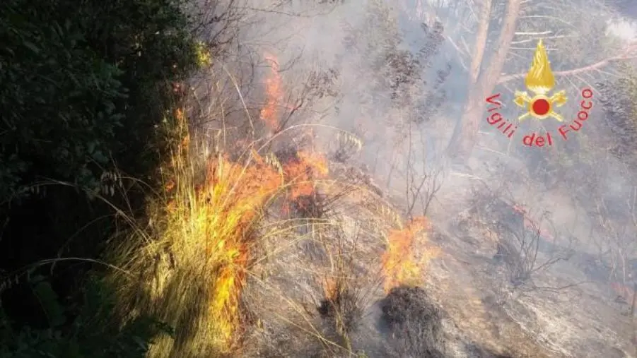 images Incendi, vasta area di macchia mediterranea distrutta nel Reggino