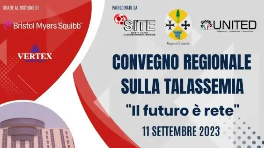 “Il futuro è rete”, l'11 settembre a Catanzaro il convegno sulla Talassemia