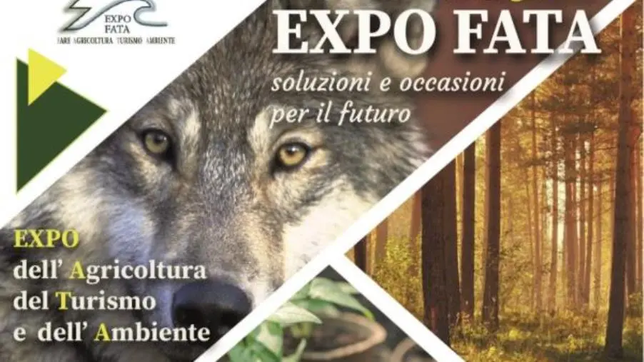 images Expo Fata, appuntamento spostato all’1 e 2 luglio causa maltempo 