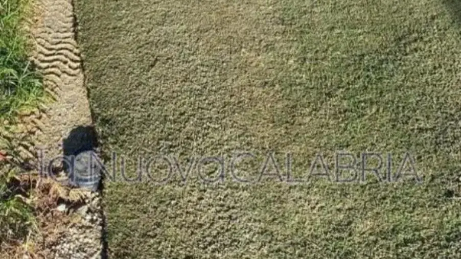 images Catanzaro, posata la prima zolla d'erba allo stadio 'Ceravolo'