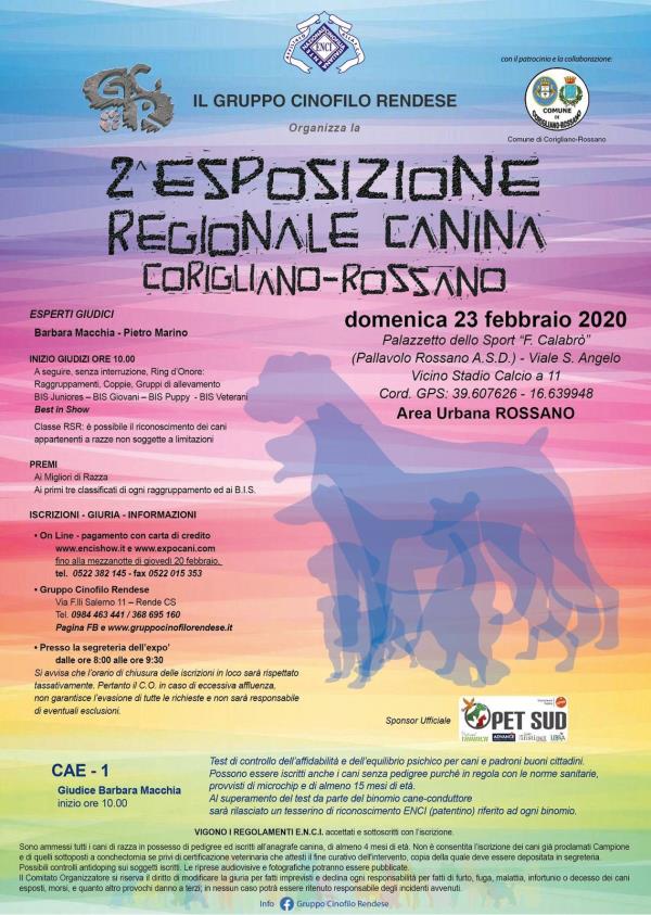 images Cinofilia, domenica 23 febbraio a Corigliano-Rossano attesi i migliori cani di razza e con pedigree da tutto il Sud Italia