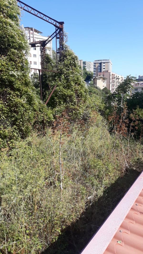 Sicurezza precaria in via Siciliani. Costanzo (Fare per Catanzaro) al Prefetto: “Necessaria una bonifica”