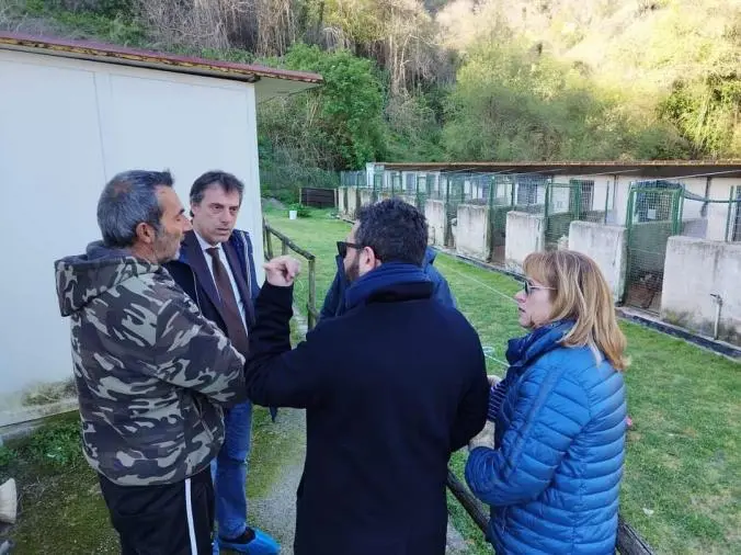 images Visita di Fiorita e Bosco al canile di San Floro, Catanzaro Azzurra: "Sgarbo istituzionale e doppiopesismo" 