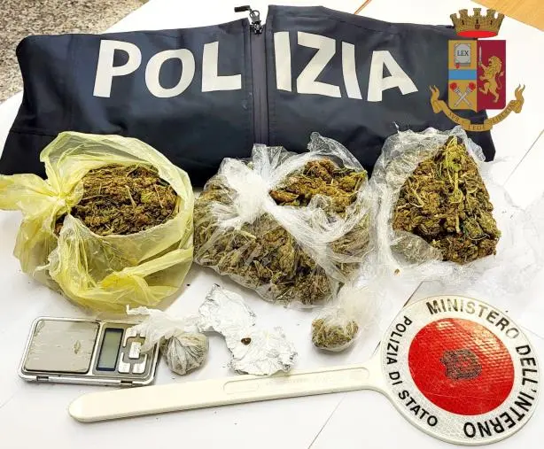 Marijuana e hashish nell'appartamento: arrestato un uomo nel Vibonese