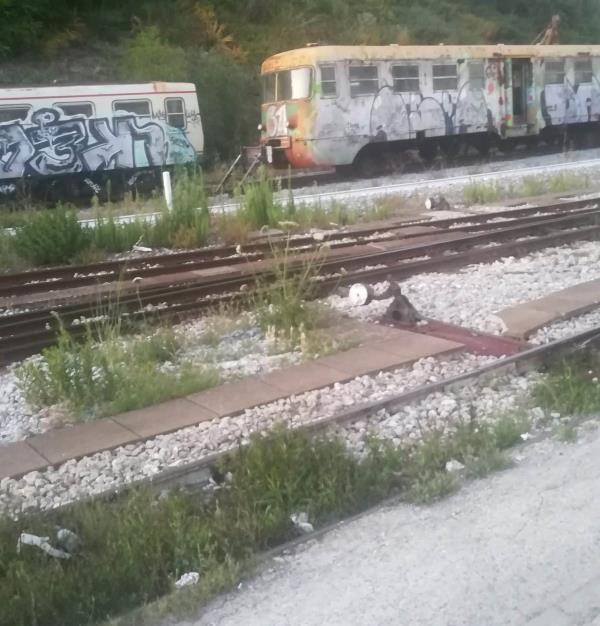 images Angotti e Lostumbo (Fi) pungono Ferrovie della Calabria: "L'azienda è sbilanciata sul Cosentino"