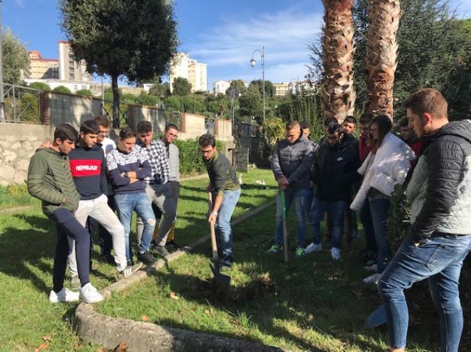 images All'Istituto Agrario di Catanzaro si piantano gli alberi e la speranza di un mondo più verde