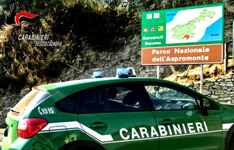 images Si smarriscono all’interno del Parco nazionale dell'Aspromonte: ritrovati dai carabinieri forestali