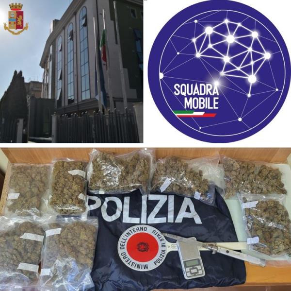 images Tropea, in casa con marijuana già suddivisa: 26enne arrestato