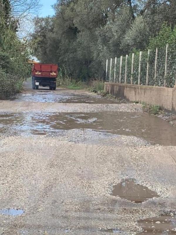 images Viabilità nel Reggino. Anastasi (IriC): " La Città Metropolitana faccia sentire la sua presenza" 