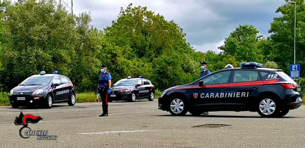 images Melito Porto Salvo, scoperte cinque piante di cannabis 