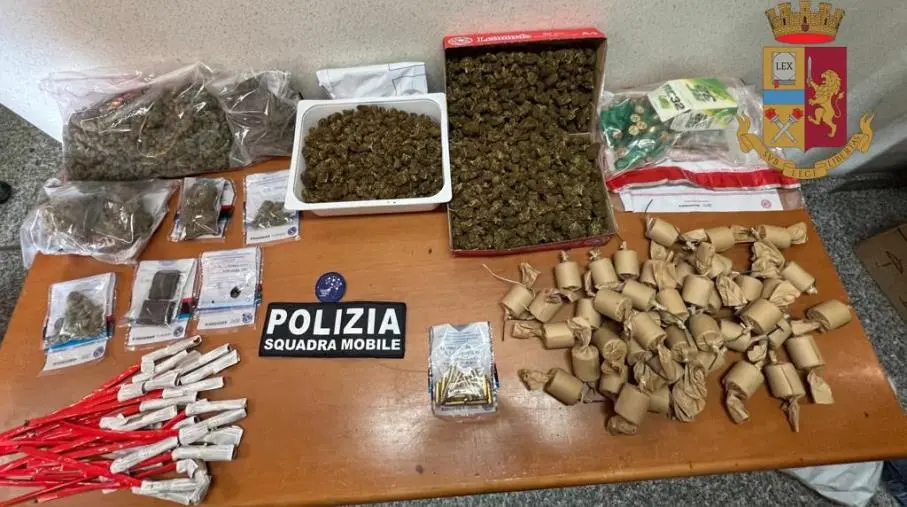 Cinofila al lavoro nelle Serre Vibonesi, sequestrate armi e droga 