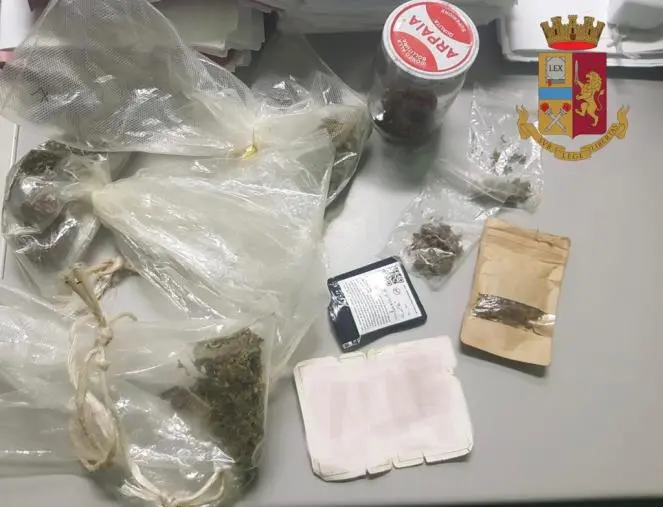 Vibo, viaggiava con droga: denunciata 