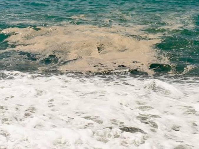 images Un dibattito aperto per salvare il Tirreno cosentino: ci sarà anche Brunori Sas