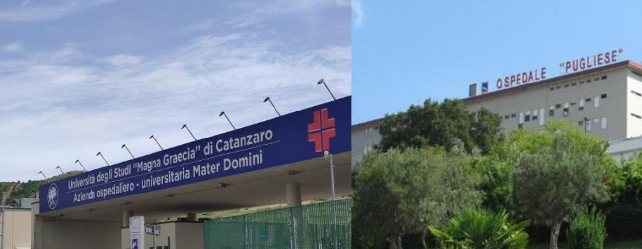 images Integrazione tra UMG e azienda Ospedaliera, CSV Calabria Centro e Forum di Catanzaro-Soverato: "Avviare in tempi brevi l'unificazione"