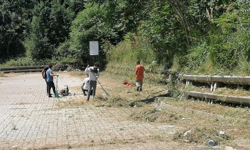 images L'Amc replica a Costanzo: "Cattiva figura. La gara che scade il 19 giugno è per il diserbo chimico, non per la pulizia"  