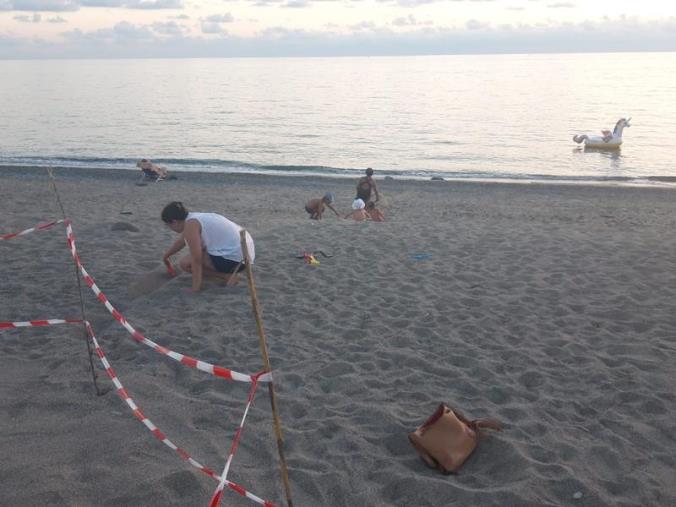 images Tartarughe caretta caretta salvate a Belvedere, De Caprio: "Rinate grazie all'amore per la vita dei calabresi"