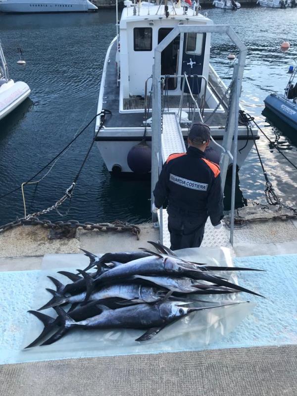 images La Guardia Costiera di Reggio sequestra centinaia di piccoli esemplari di pesce spada catturati illegalmente (VIDEO)    