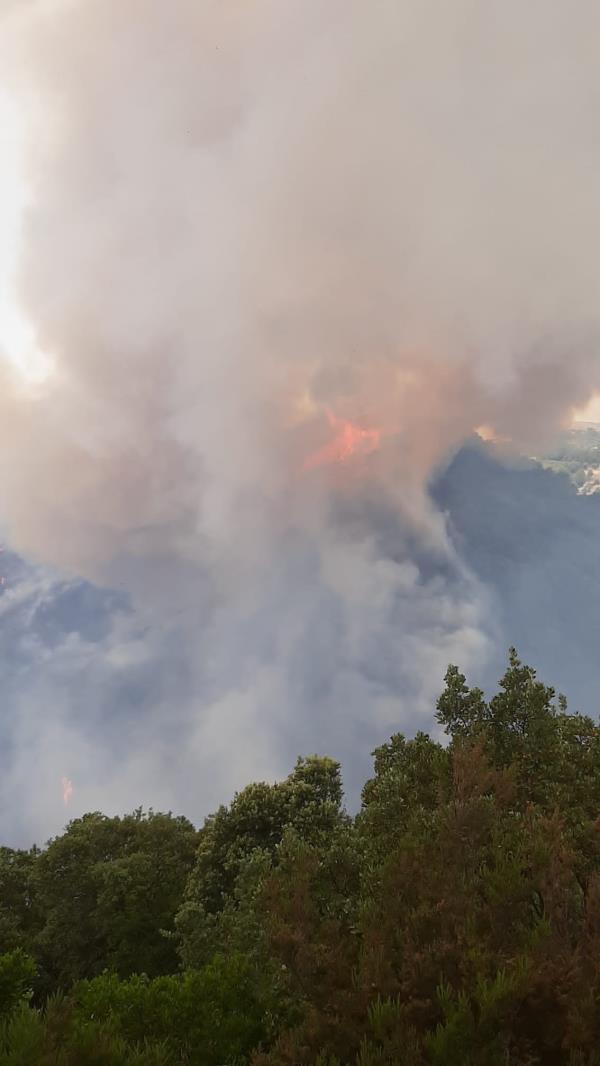 images Vasto incendio a Catanzaro. Le fiamme minacciano un'area del Parco della Biodiversità (FOTO E VIDEO)