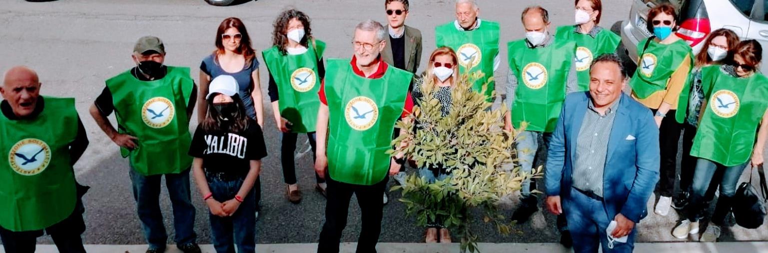 images Verde pubblico a Castrovillari, piantumate tre essenze arboree su via Coscile dall'Associazione Solidarietà e Partecipazione