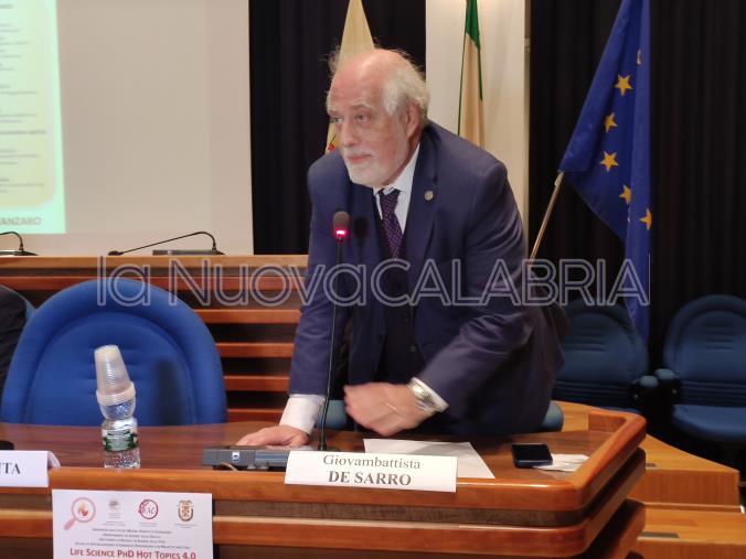 images Querelle Talerico-De Sarro, il rettore: "Consigliere non comprende che siamo noi la parte lesa"
