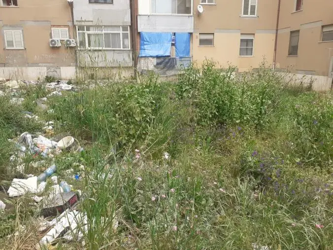 Sergio Costanzo: "Città sporca ovunque. A viale Isonzo caso emblematico"