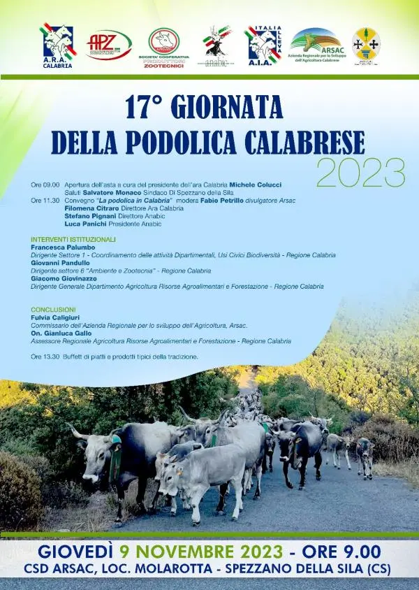 La XVII edizione della giornata della podolica calabrese, appuntamento il prossimo 9 novembre 