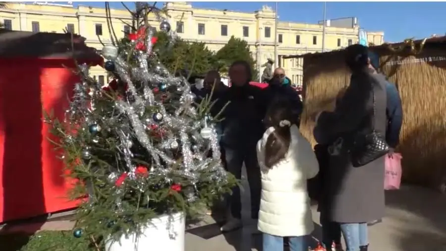 images Catanzaro, gli alberi di Natale diventano magici