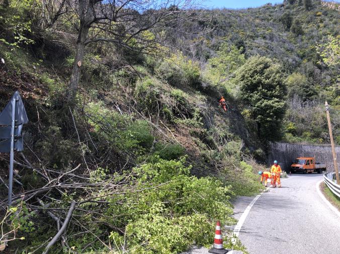 Viabilità. Proseguono i lavori di sistemazione dei versanti rocciosi lungo la Ss 109bis e la Ss280 "Dei due mari" a Catanzaro