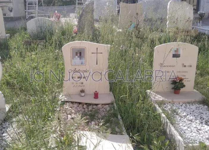 images Degrado e abbandono al cimitero di Catanzaro: tombe avvolte nella vegetazione