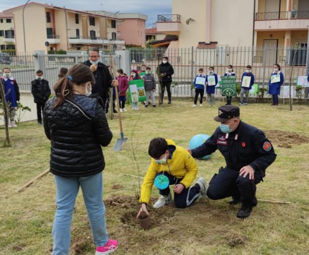 images "Un albero per il futuro": tra Catanzaro, Crotone e Cosenza nasce il bosco diffuso 