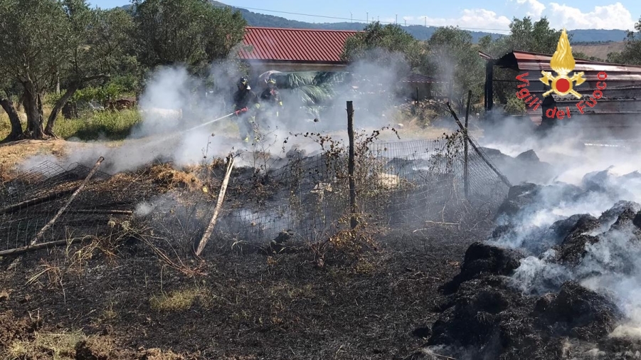 images Incendio a Squillace, in fiamme rifugio di animali d'allevamento vicino ad abitazioni