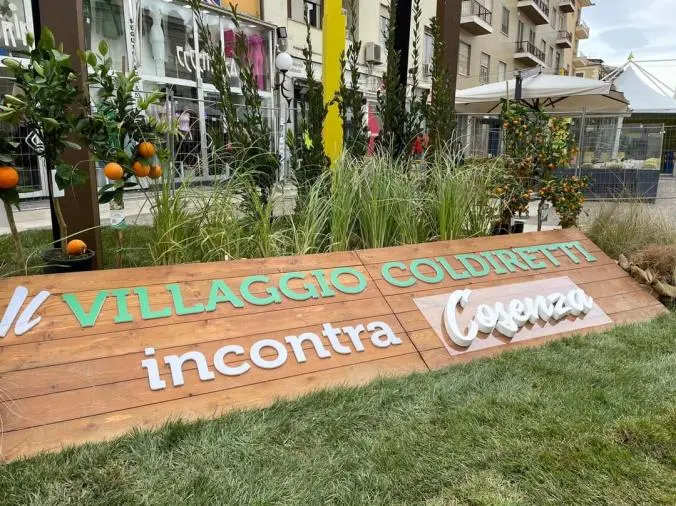 images Villaggio Coldiretti Cosenza, triplica il consumo dell’olio italiano nel mondo (+170%)