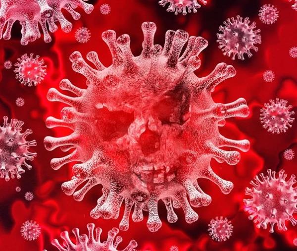 images Coronavirus, il Consiglio dei ministri ha dichiarato lo stato di emergenza