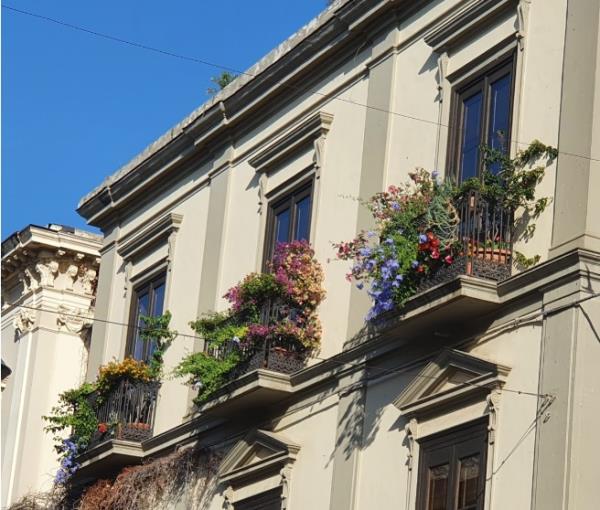 Castrovillari verso il giro d'Italia. Scelto in città il balcone fiorito che preannuncia la carovana rosa 